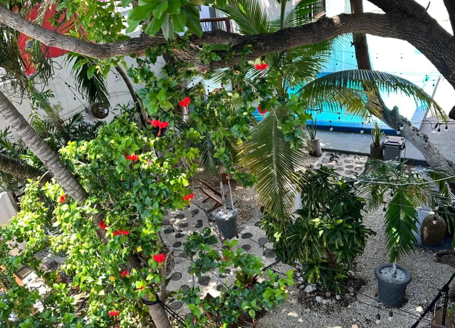 ***  Hotel Isla Caracol Isla Mujeres México