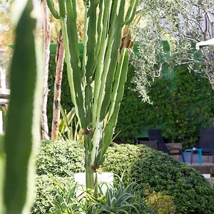 Mercure Centre Notre Dame Hotel Nice