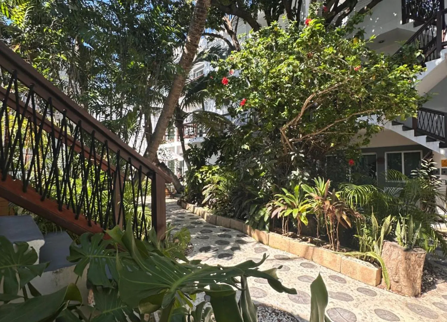 Hotel Caracol Isla Mujeres 3*,