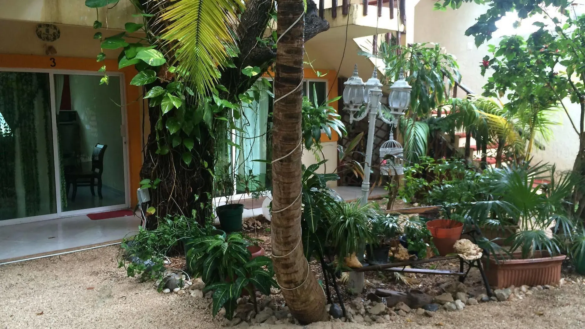 Hotel Caracol Isla Mujeres